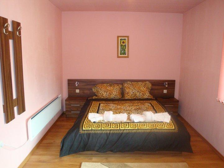 Tzvetelina Palace Hotel Dolna Banya Zimmer foto