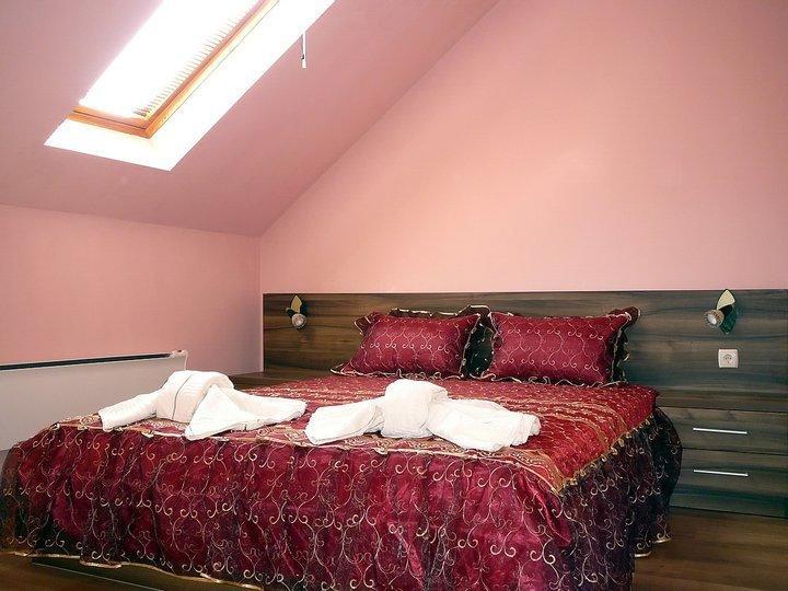 Tzvetelina Palace Hotel Dolna Banya Zimmer foto